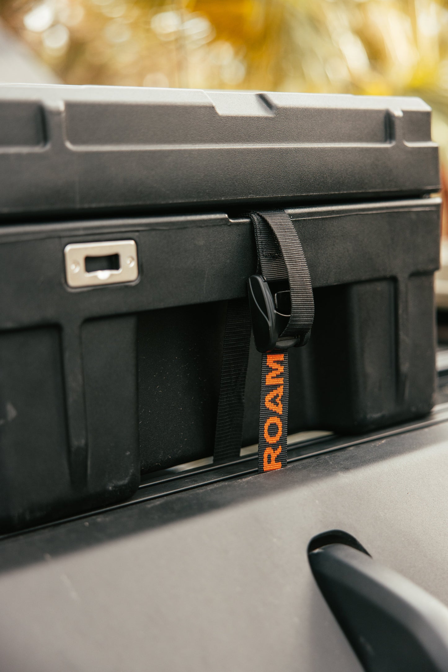 Roam- Tie Down Straps