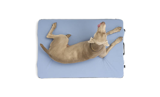 HEST- Dog Bed