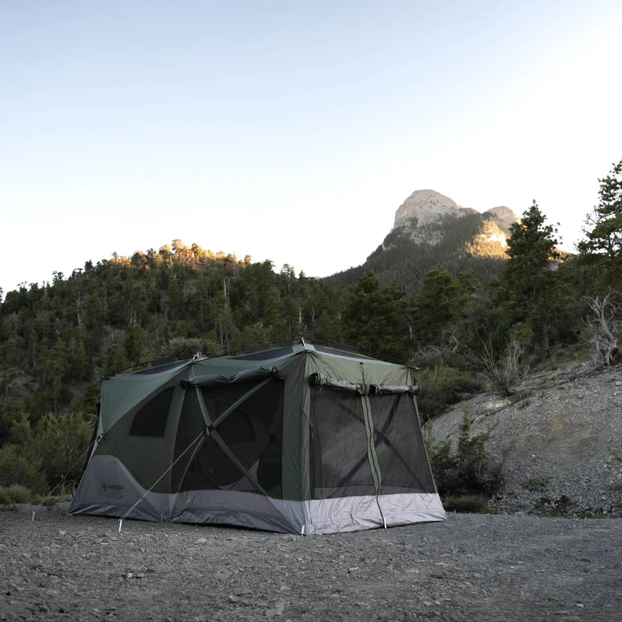 Gazelle- T4 Tandem w/ Overland Kit - Oak Moss