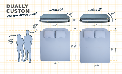 HEST- Dually Custom S